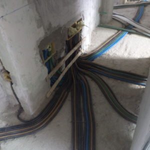 DSC00986 (FILEminimizer)