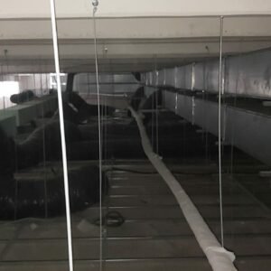 WhatsApp Image 2022-10-17 at 19.42.55