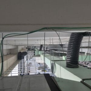 WhatsApp Image 2022-10-17 at 19.42.59